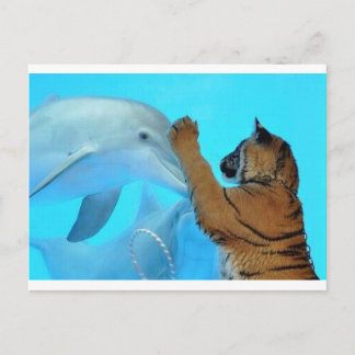Carte Postale Rencontre dauphin-tigre