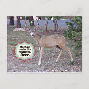 Carte Postale Rencontrez-moi sous le Mistletoe