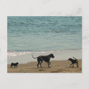 Carte Postale Rendez-vous et bienvenue