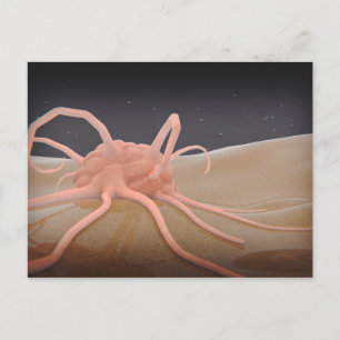 Carte Postale Rendu 3D De La Phagocytose De Macrophage