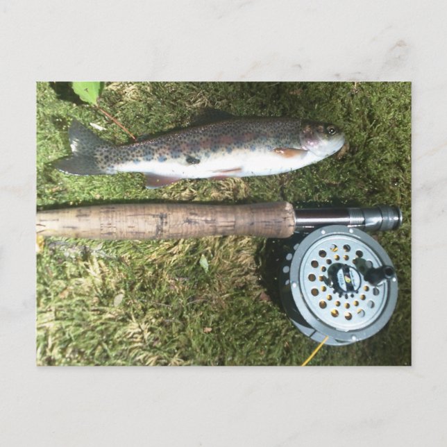 Carte Postale renfly fishing reel (Devant)