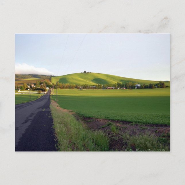 Carte Postale Rentrée routière (Devant)