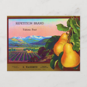 Carte Postale Répétition