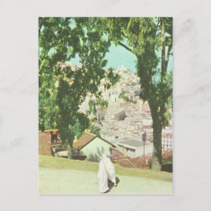 Carte Postale Réplique Vintage Algeris, Panorama de la ville