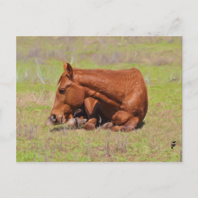 Carte Postale Repose dans le soleil (Devant)