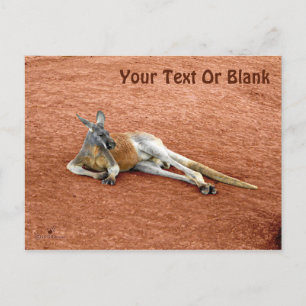 Carte Postale Repose Red Kangaroo Buck