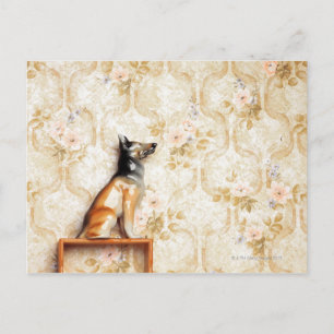 Carte Postale Représentation animale, nouveauté, étagère, laine
