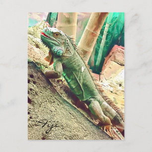 Carte Postale Reptile de lézard fidjien