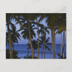 Carte Postale République dominicaine, péninsule de Samana, Las