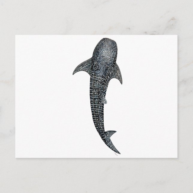 Carte Postale Requin baleine (Devant)