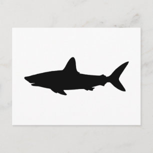 Carte Postale Requin nageant