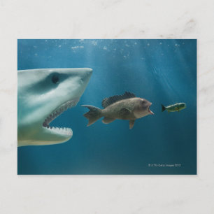 Carte Postale Requin pourchassant des achigan à la mer pourchass