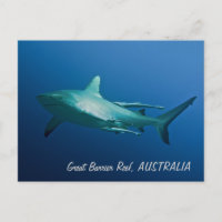 Carte postale Requin récif