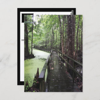 Carte Postale réserve côtière de santee