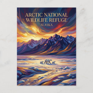 Carte Postale Réserve faunique nationale de l'Arctique États-Uni