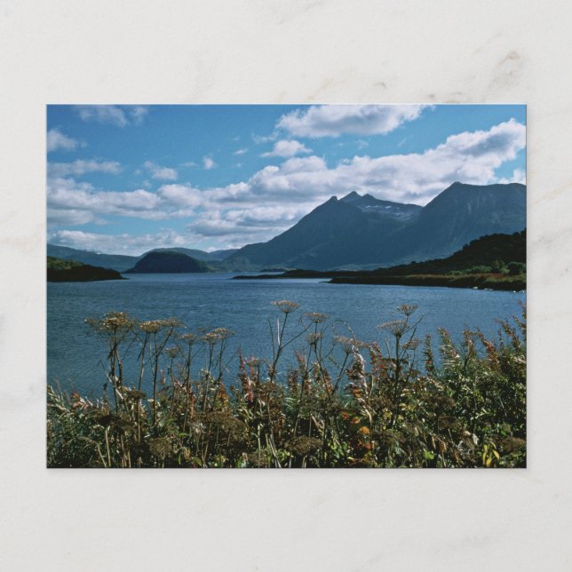 Carte Postale Réserve nationale de faune de Kodiak (Devant)