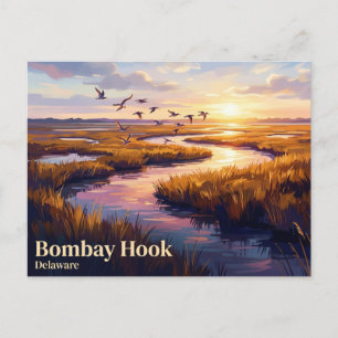 Carte Postale Réserve nationale de faune sauvage de Bombay Hook