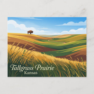Carte Postale Réserve nationale de prairie à Tallgrass USA