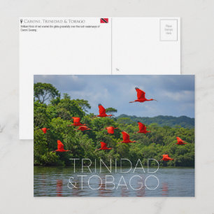 Carte Postale Réserve ornithologique de Caroni, Trinité-et-Tobag