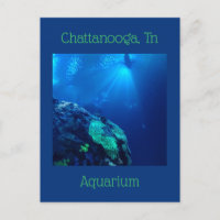 Réservoir de requin à Chattanooga Tennessee