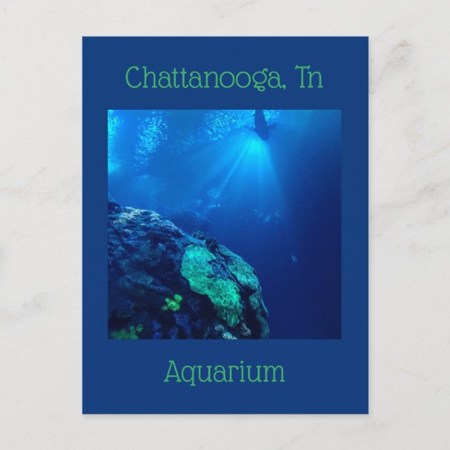 Carte Postale Réservoir de requin à Chattanooga Tennessee (Devant)