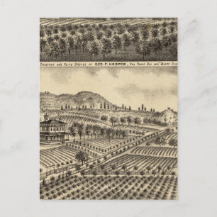 Carte Postale Résidence de Geo F Hooper