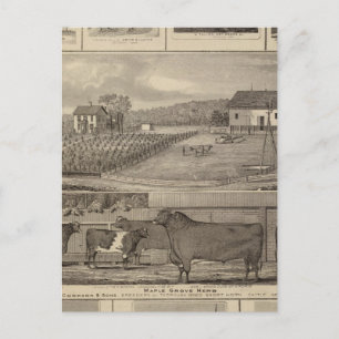 Carte Postale Résidences, bâtiments et églises