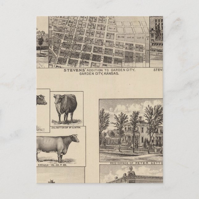 Carte Postale Résidences en Kansas (Devant)