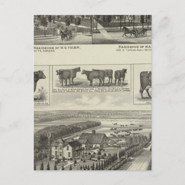 Carte Postale Résidences et ferme Stock, Wichita, Kansas (Devant)