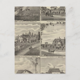 Carte Postale Résidences, Fermes, Usine à Litchfield, Minnesota