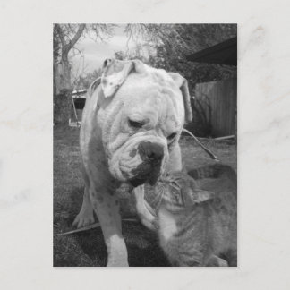 Carte Postale respect