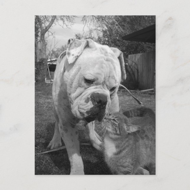 Carte Postale respect (Devant)