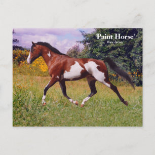 Carte postale Ressort Cheval