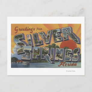 Carte Postale Ressorts d'argent, Floride - Grandes lettres Scène