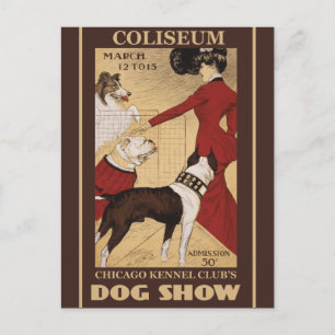 Carte Postale Restauré Vintage Chicago Kennel Club