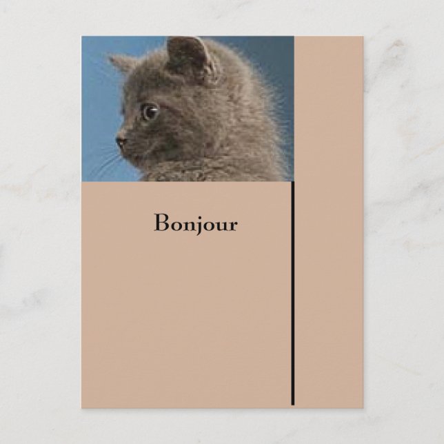 Carte postale Restez en contact avec la carte post (Devant)