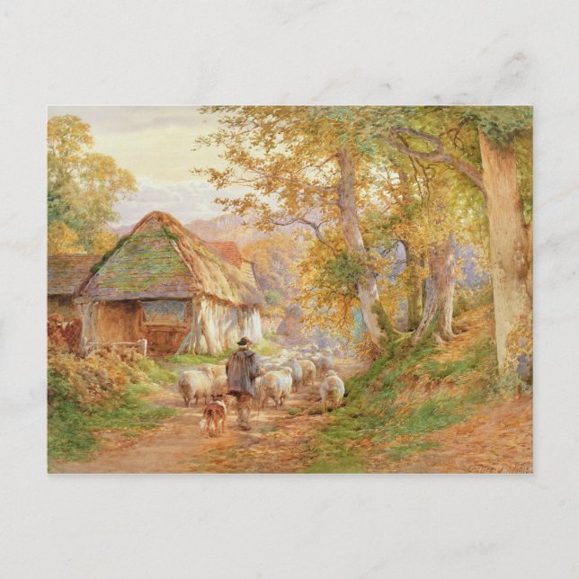 Carte Postale Retour au pliage (Devant)