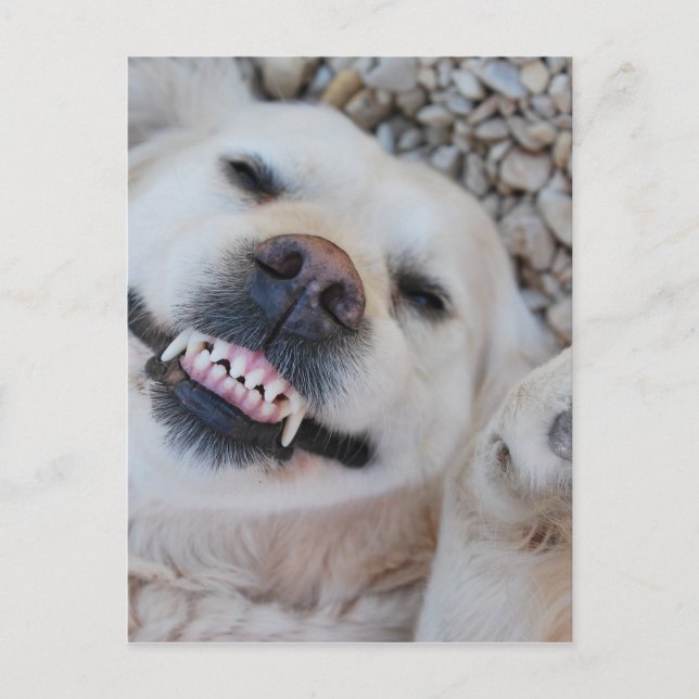 Carte Postale Retrait souriant (Devant)