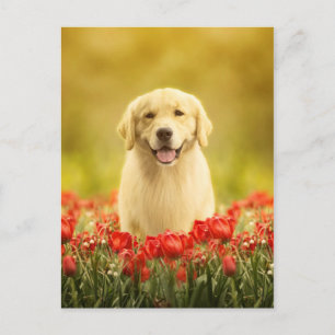 Carte Postale Retraite d'or en fleurs rouges