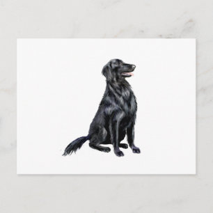 Carte Postale Retriever à poil plat (B)