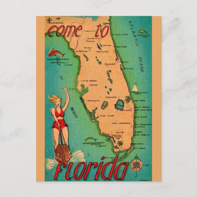 Carte postale rétro de Floride  (Devant)