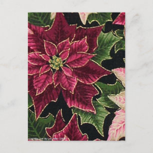 Carte Postale Rétro rose de Bourgogne de poinsettia de les