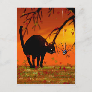 Carte Postale Réunion d'Halloween - Chat noir et Araignée