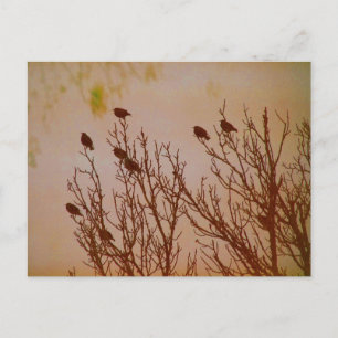 Carte Postale Réunir