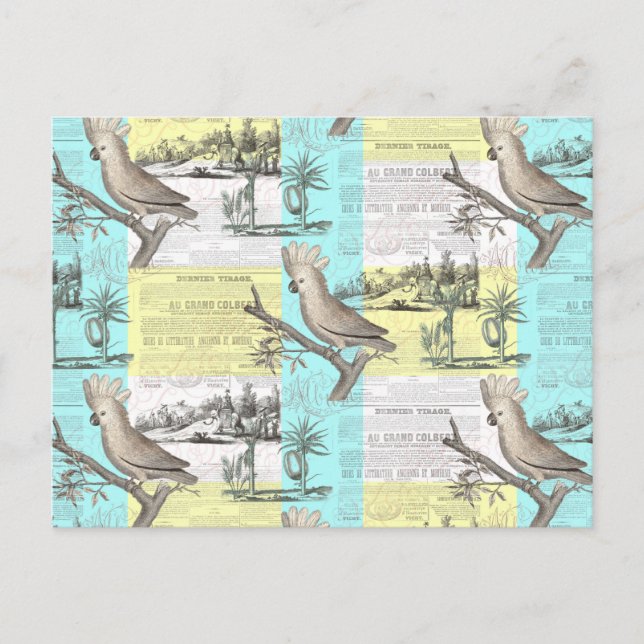 Carte Postale Rêve de Cockatoo tropical (Devant)