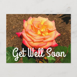 Carte postale Rêve de guérison Rose #3