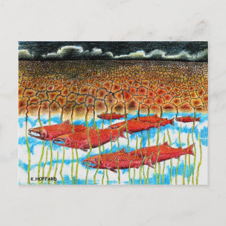 Carte Postale Rêve de poisson