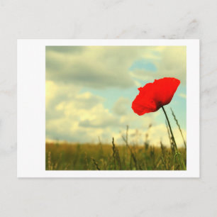 Carte Postale rêve d'été