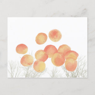 Carte Postale Rêver d'abricots en hiver