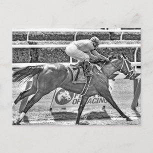 Carte Postale Rêver de Julia- Champion filly de 2 ans